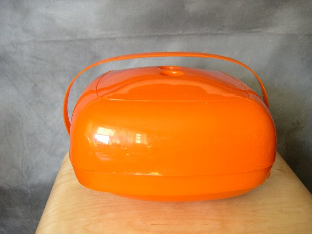[orange+picnic.JPG]