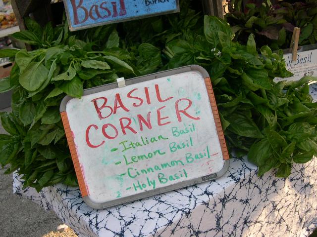 [basil.JPG]
