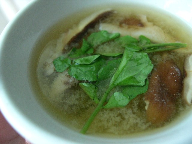 [miso+watercress+soup.JPG]