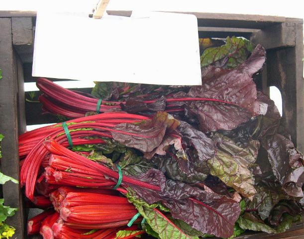[red+chard.JPG]