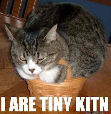 Lolcat Fluffy