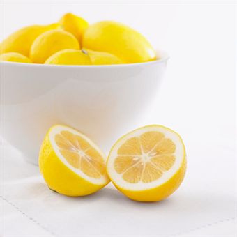 [meyer+lemons+4]