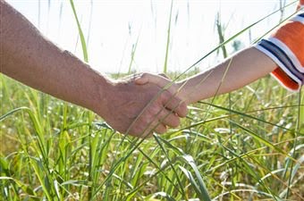 [kids+shaking+hands+2]