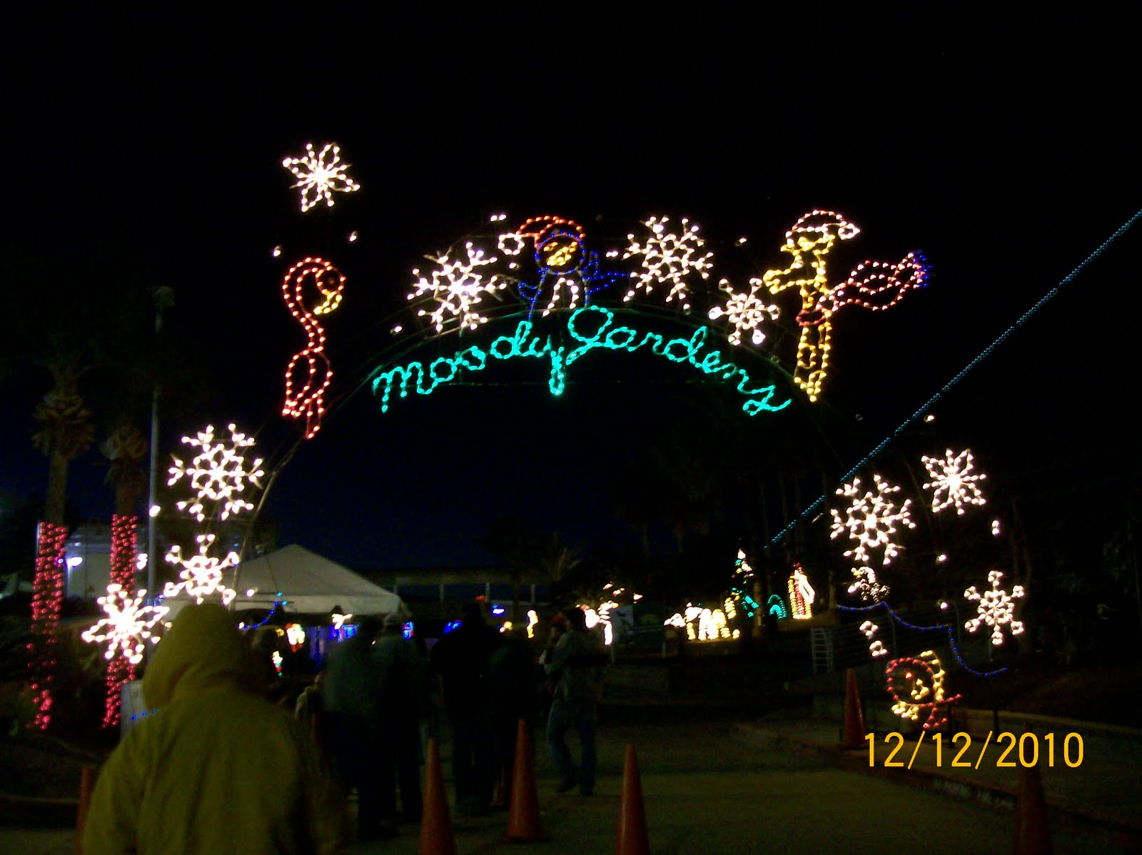 The Youngs Moody Gardens Festival Of Lights