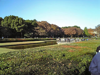 fountain pond