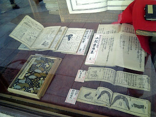 show window display of the store