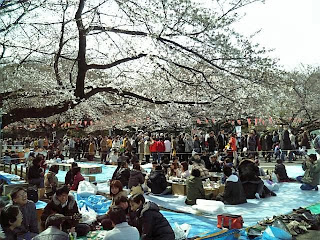 Hanami in ueno park
