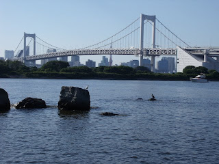 odaiba marine park
