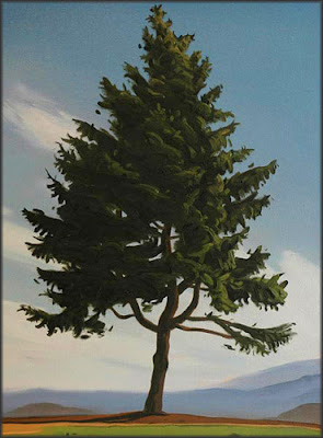 Pine-Tree01.jpg