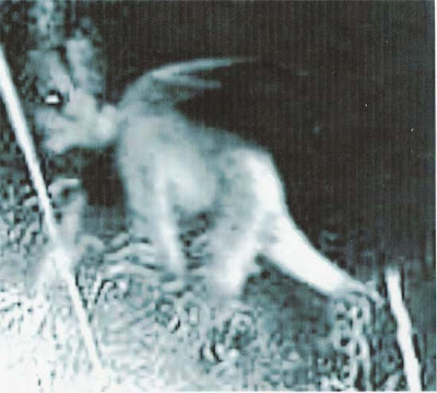 Gambar Hantu: Mei 2008