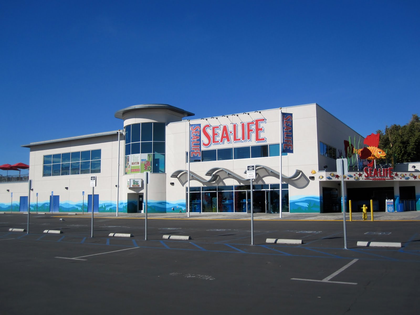 [Sea-Life-Aquarium.JPG]