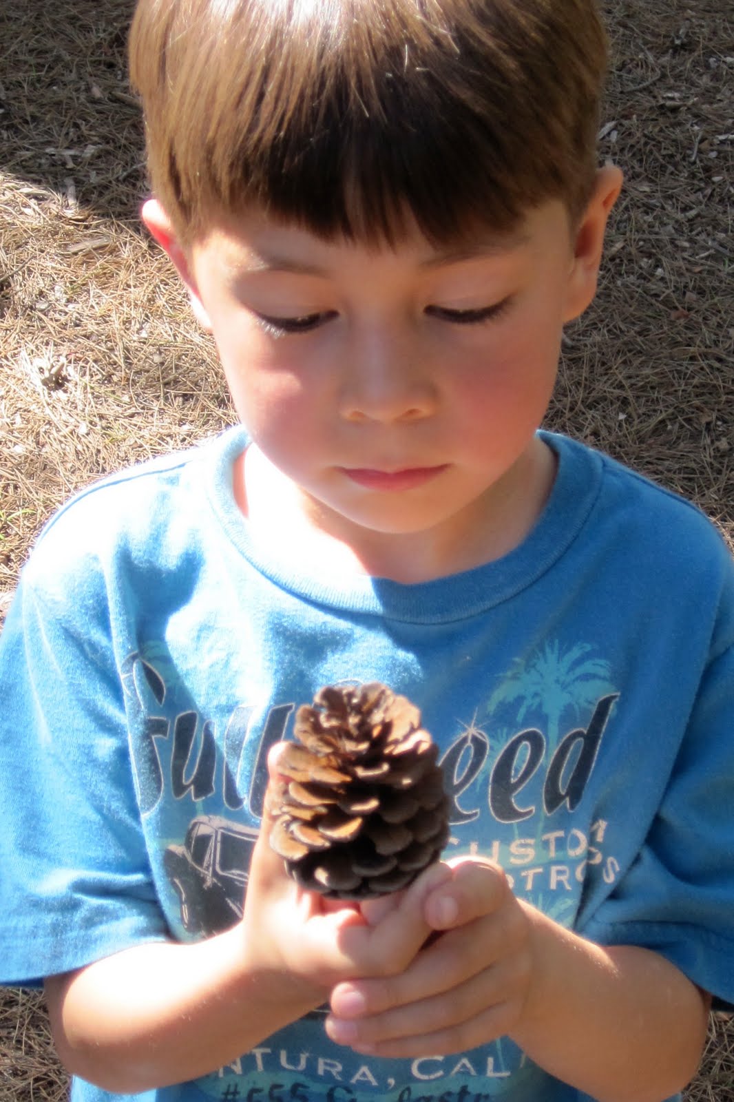 [Fun-Friday-Birdfeeder.JPG]