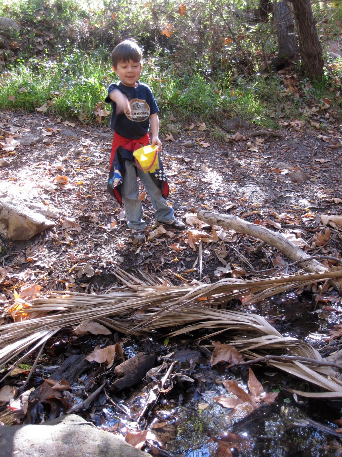 [Temescal-Gateway-Park-Rocks.JPG]