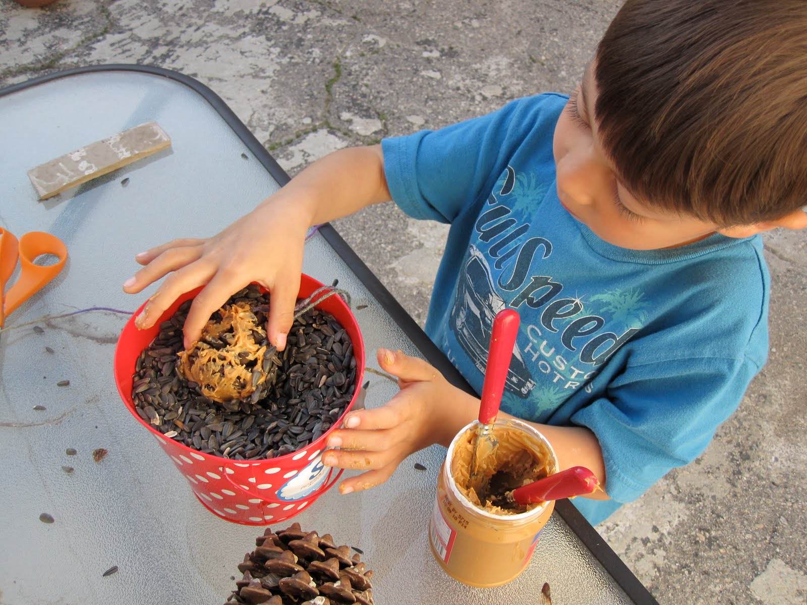 [Winter-Faves-Pinecone-Feeder.JPG]
