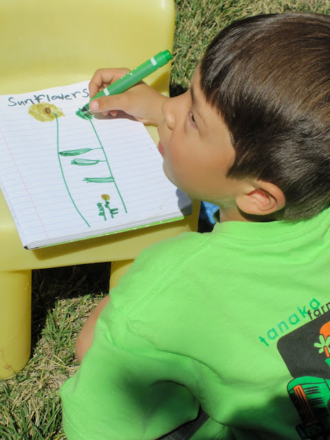 Journaling sunflowers