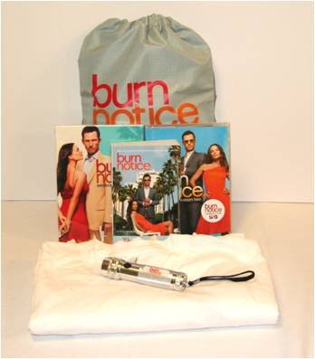 [burn+notice.bmp]
