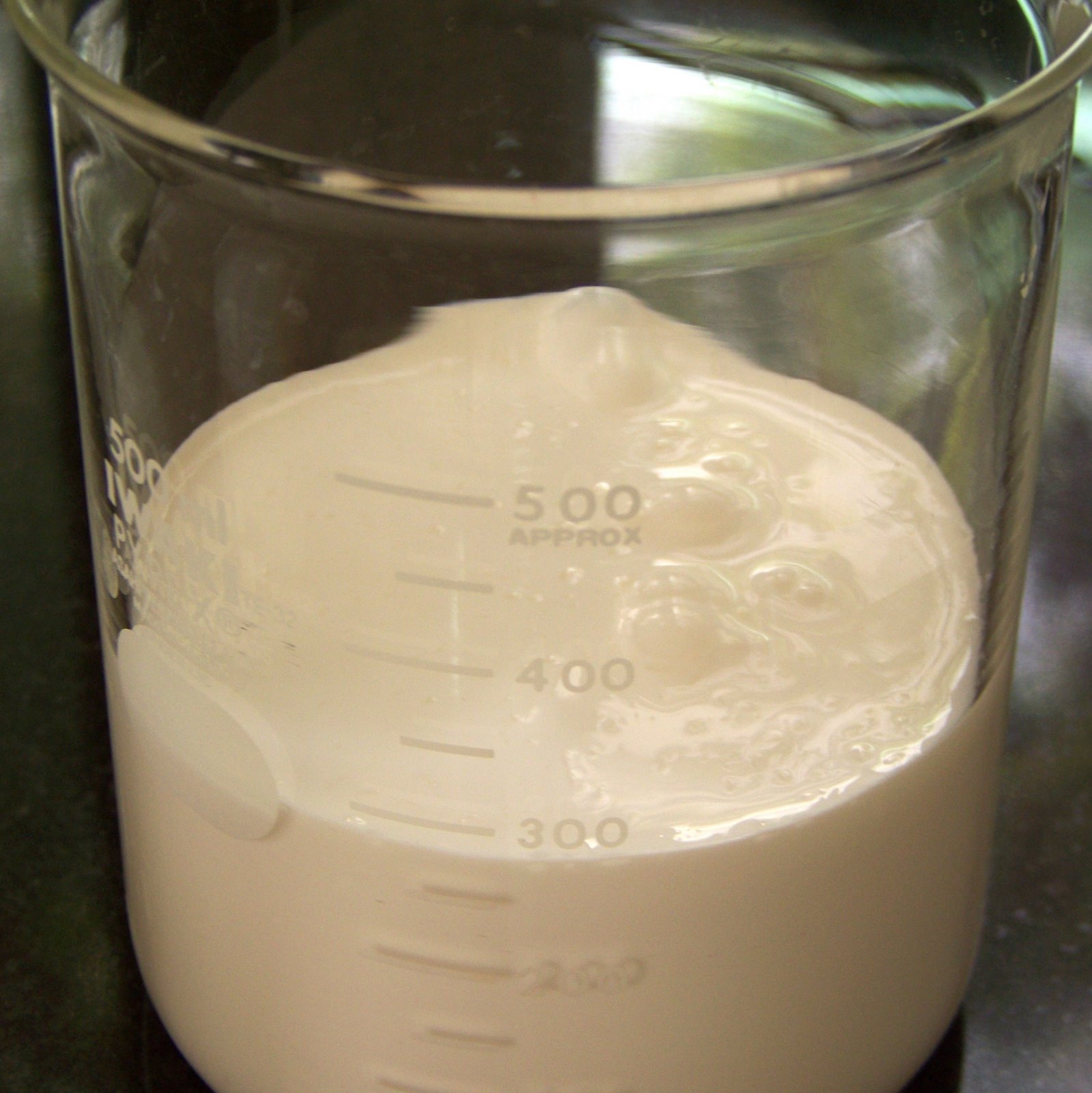 [1+T+crema.jpg]