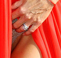 Lisa rinna upskirt Open source penetration testing