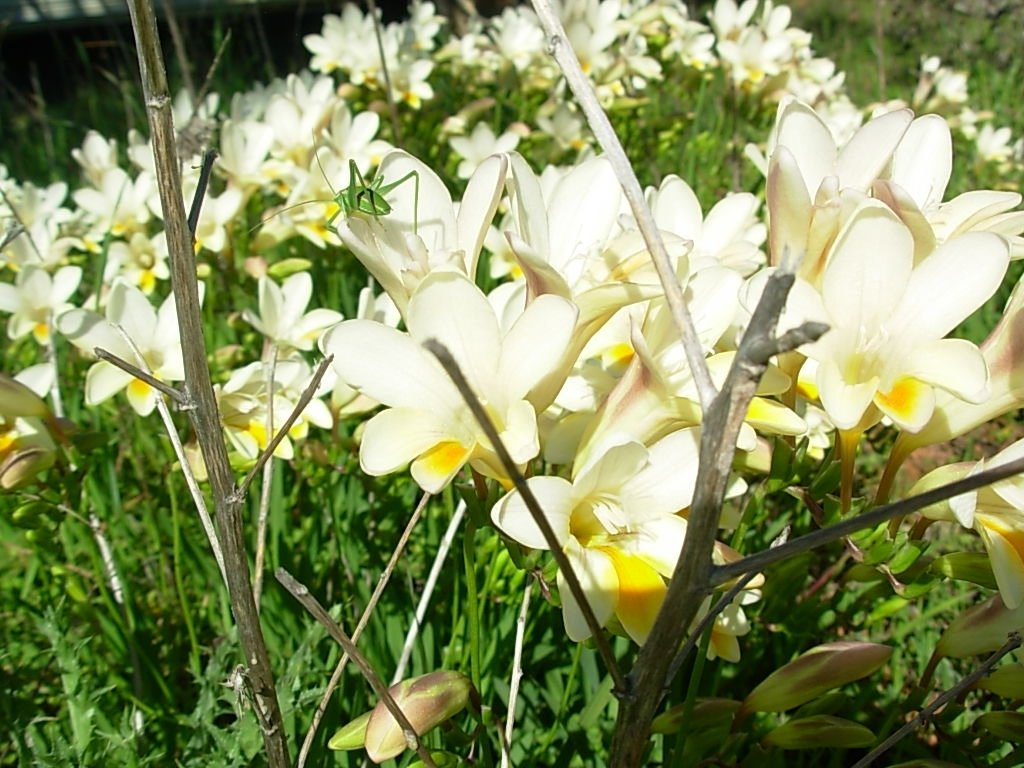 [DSCN1127.JPG]