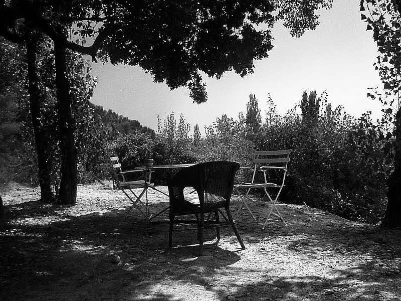[provence1.jpg]