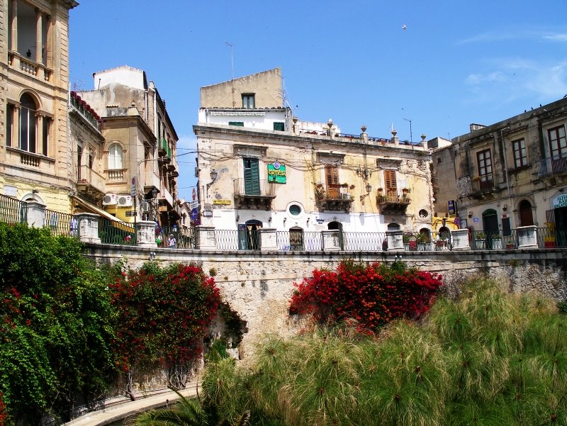 [catania6.jpg]