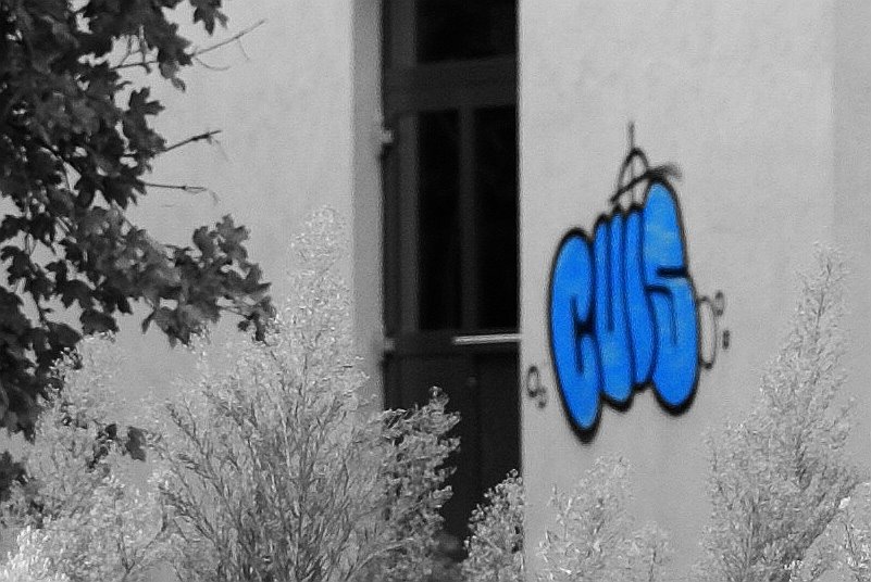 [graffitti6.jpg]