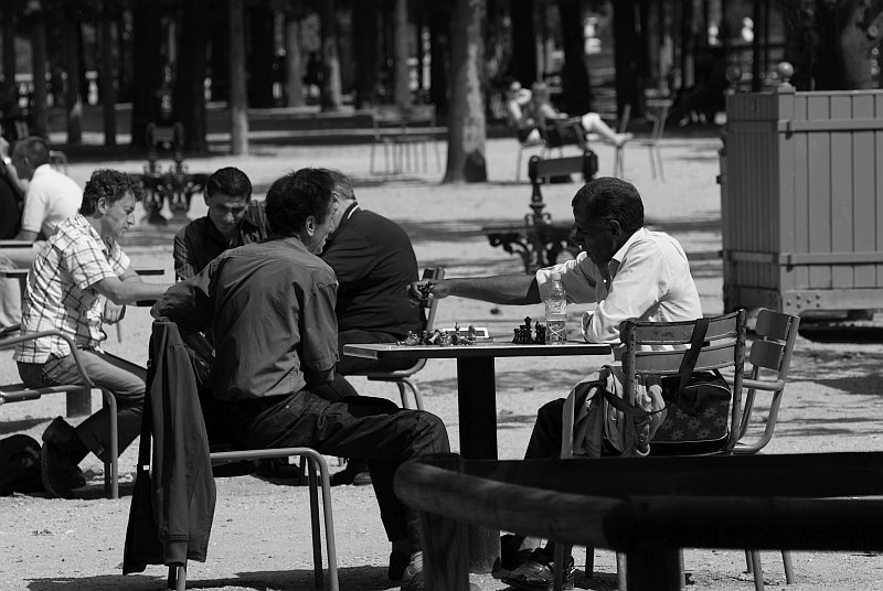 [schach.jpg]
