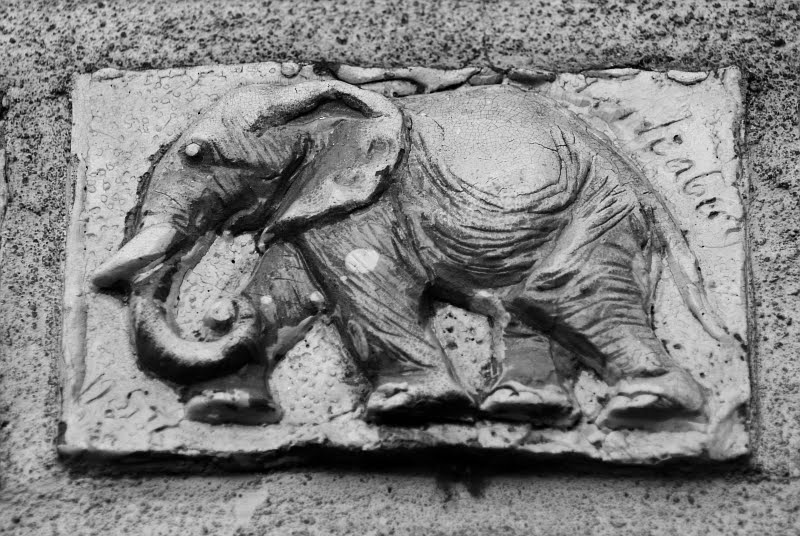[elefant.jpg]