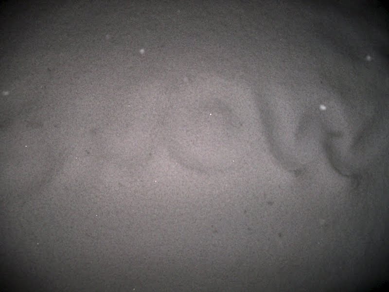 [snow2.jpg]