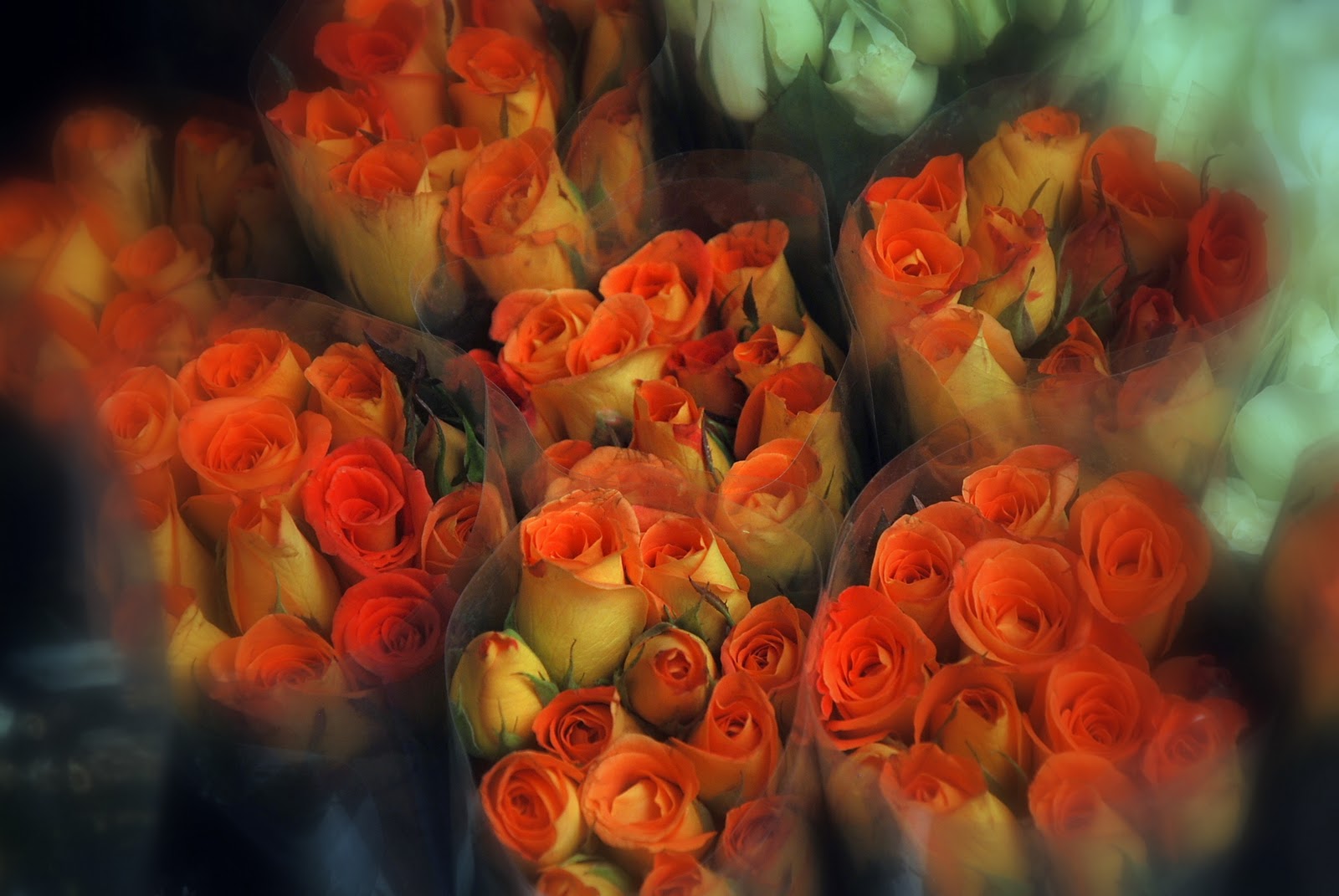 Bulaklak Decor Orange Roses