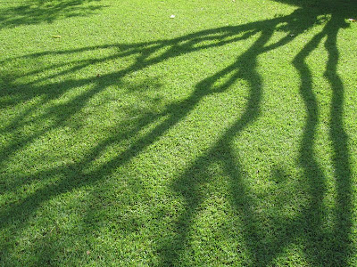 Architecture Shadow
