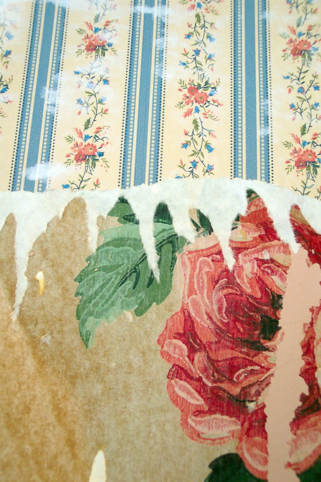 very evil thoughts about past residents who paint over wallpaper. very evil thoughts about past residents who paint over wallpaper.