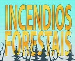 Que hacer en caso de incendios forestales (folleto en PDF):