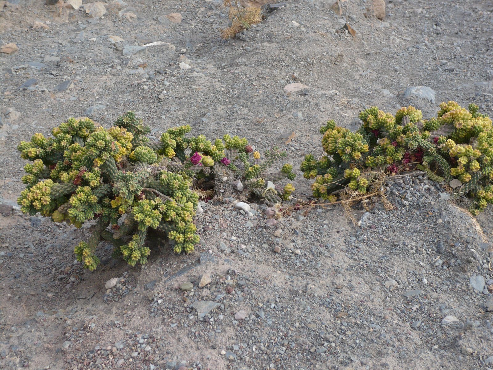 [L1020675.JPG]