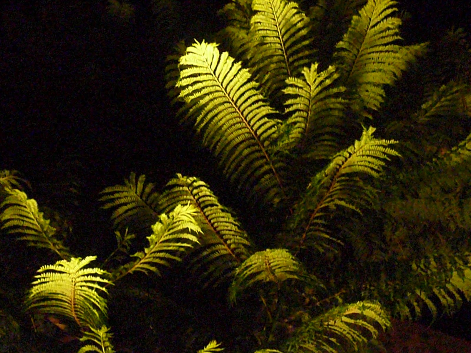 [L1010845.JPG]