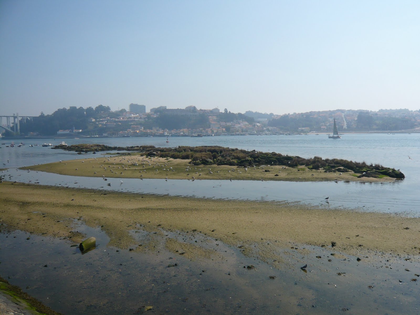 [L1020431.JPG]