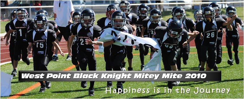 Black Knight Mitey Mite 2010
