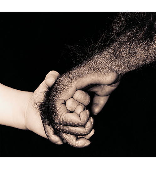 [Tim+Flach.jpg]