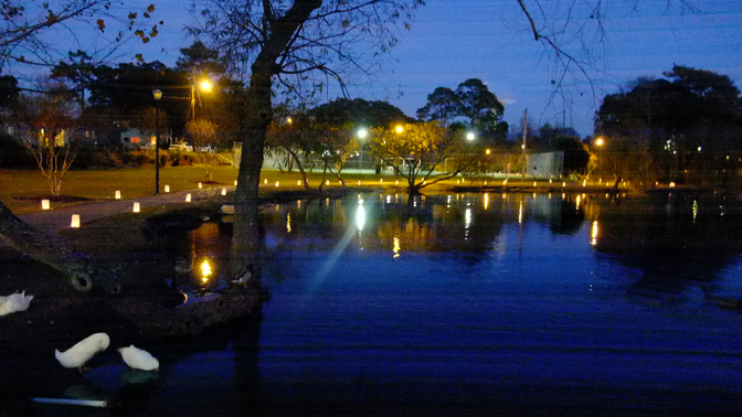 beach life blog north myrtle beach s annual tree lighting ceremony