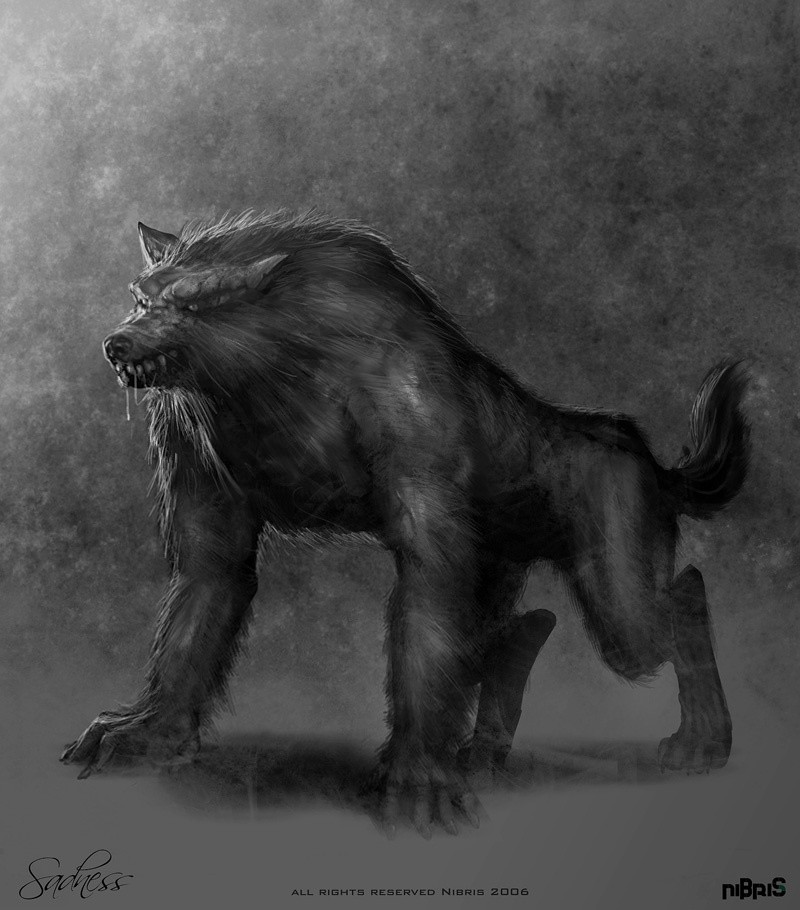 Werewolves From Twilight