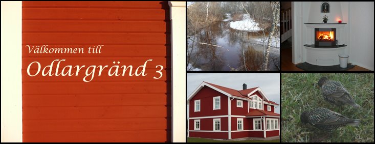 Odlargränd 3