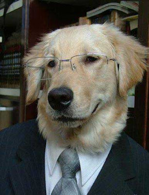 professor+dog.jpg