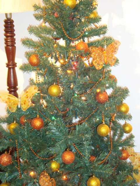 [DSC02475.JPG]