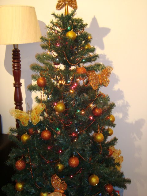 [DSC02473.JPG]