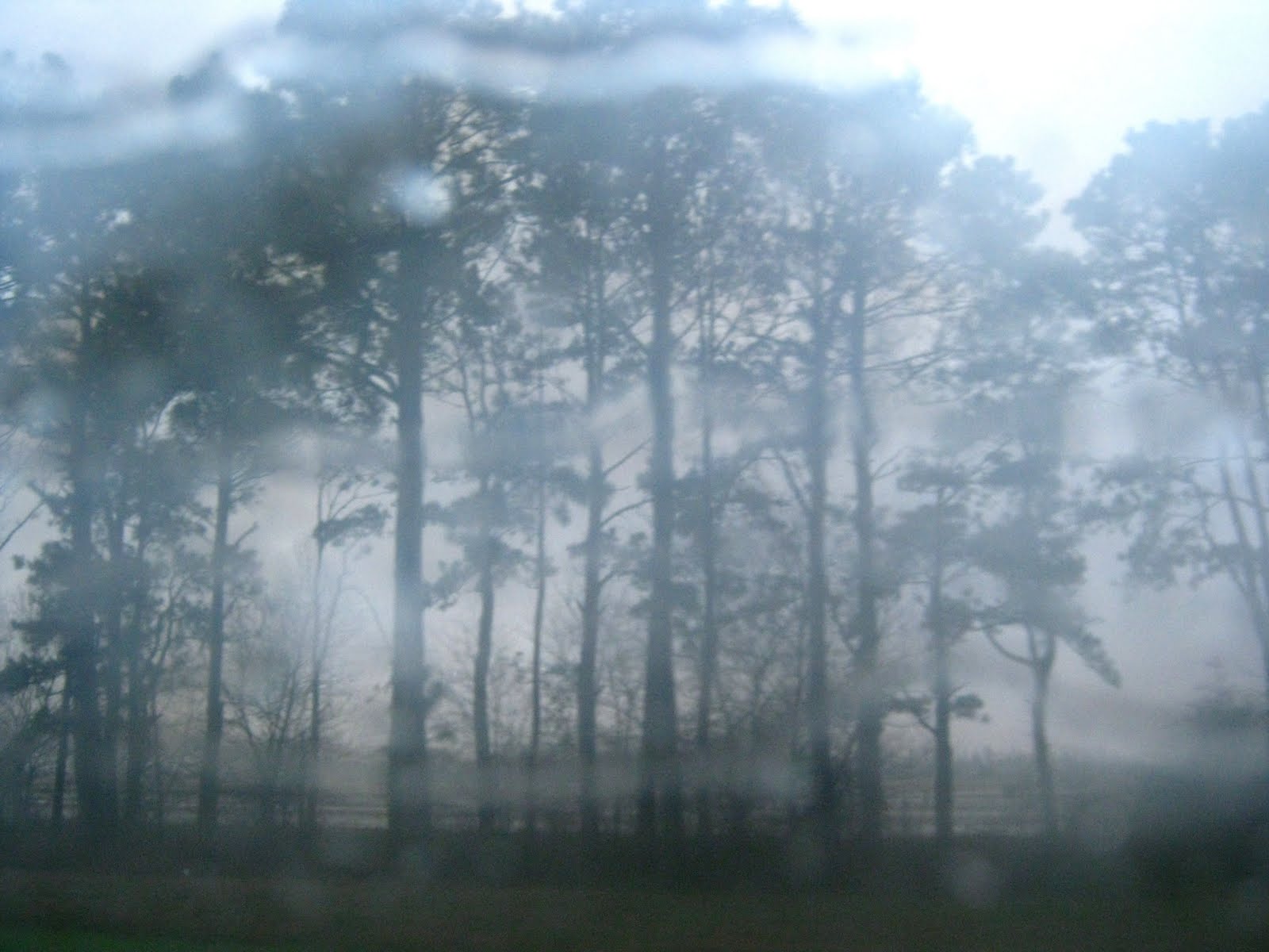 [IMG_0994.JPG]