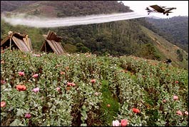 [fumigation-1.jpg]