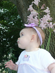 7 Months Old!