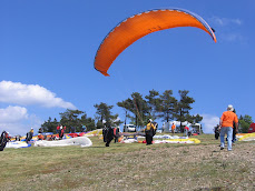 FLIGHT ZONES IN PORTUGAL