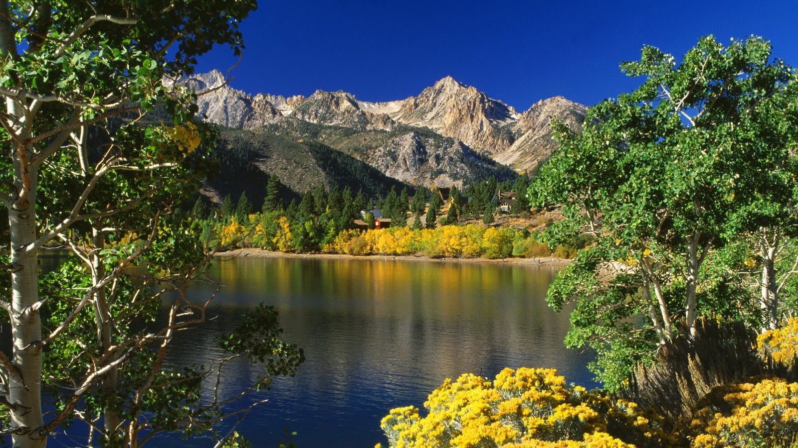 http://4.bp.blogspot.com/_vTQcDXfTeUo/TNKJBJls_oI/AAAAAAAABYA/AbGw9bJDB30/s1600/Nature+Full+HD+www.freehd.blogspot.com+%28160%29.jpg