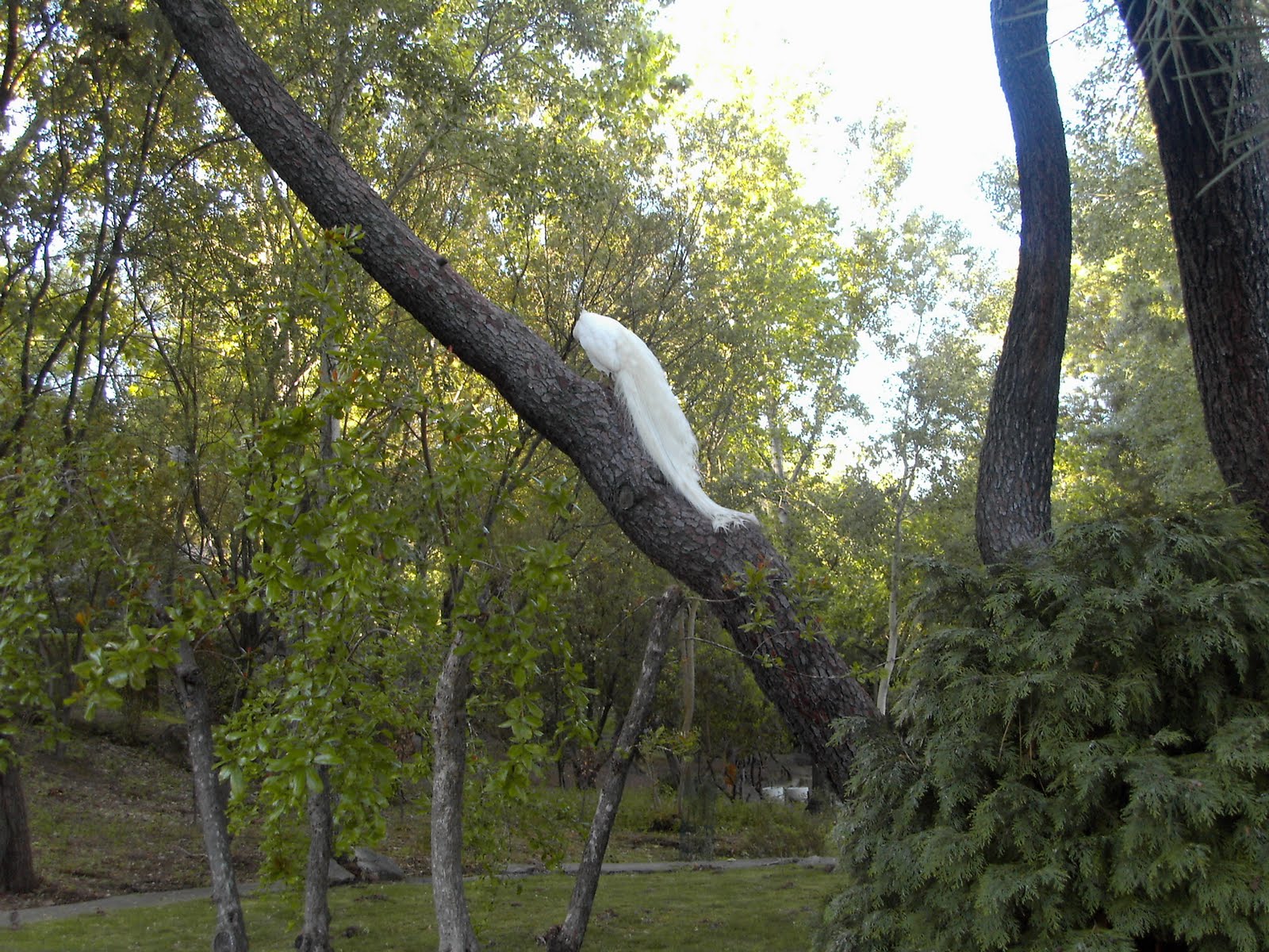 [MYDC2157.JPG]